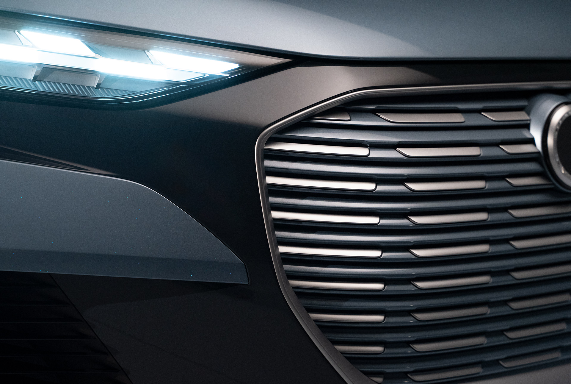 Close up of the Singleframe grille in the Audi e-tron. 